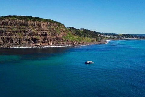 Julian Rocks Byron Bay Cruise - Accommodation Mount Tamborine 6