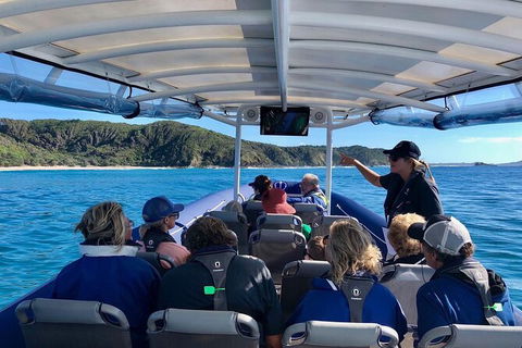 Julian Rocks Byron Bay Cruise - Accommodation Mount Tamborine 11