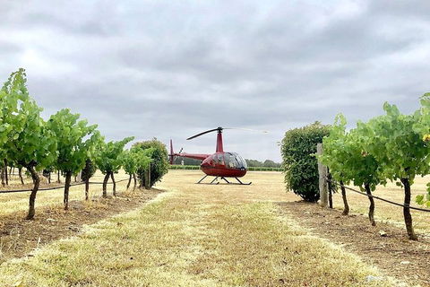 Private Helicopter Flight To Hunter Valley With A La Carte Lunch - For 2 - Accommodation Mount Tamborine 0