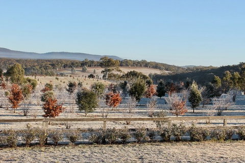 Truffle Hunts With Lunch - Southern Highlands - Accommodation Mount Tamborine 1