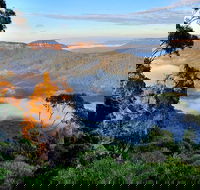 Private 10-hour Tour to Blue Mountains from Sydney - Hotel pick up  drop off - Accommodation Mount Tamborine