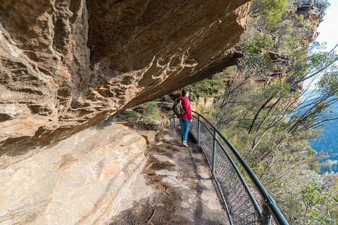 Blue Mountains Highlights & Wildlife Park - Accommodation Mount Tamborine 0