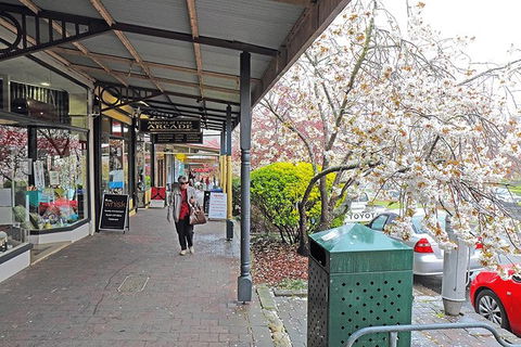 Blue Mountains Highlights & Wildlife Park - Accommodation Mount Tamborine 2