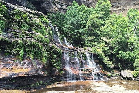 Blue Mountains Highlights & Wildlife Park - Accommodation Mount Tamborine 8