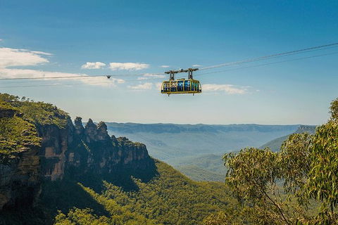 Blue Mountains Highlights, Wildlife Park And Scenic World Full Day Private Tour - Accommodation Mount Tamborine 0