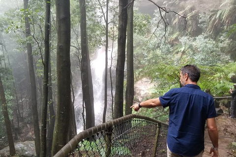 Blue Mountains Highlights, Wildlife Park And Scenic World Full Day Private Tour - Accommodation Mount Tamborine 6