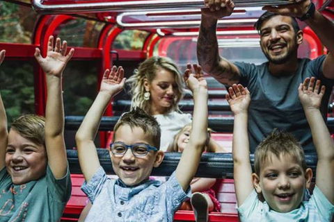 Blue Mountains Highlights, Wildlife Park And Scenic World Full Day Private Tour - Accommodation Mount Tamborine 5
