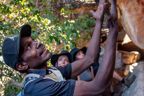 Arnhem Land Injalak Hill Full-Day Tour From Jabiru - Accommodation Mount Tamborine 0