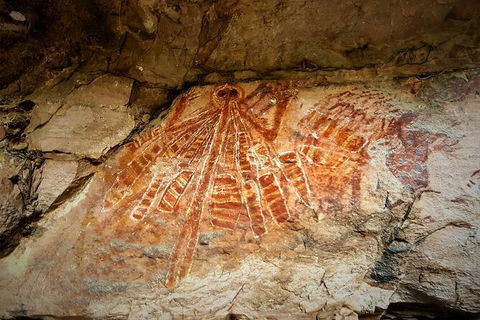 Arnhem Land Injalak Hill Full-Day Tour From Jabiru - Accommodation Mount Tamborine 2