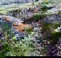 Jabiru 30 minute Scenic Flight - Accommodation Mount Tamborine