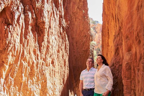 Best Of Alice Springs Full Day Tour - Accommodation Mount Tamborine 4