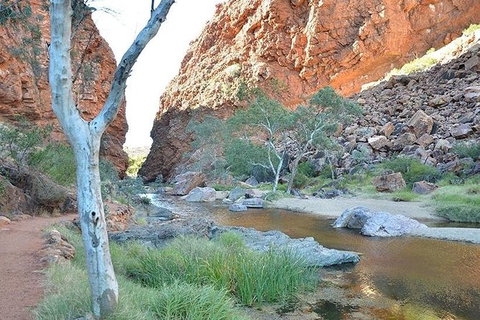 Alice Springs, Uluru Ayers Rock & Kings Canyon 8 Days Touring Package - Accommodation Mount Tamborine 2