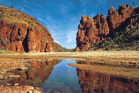 Alice Springs, Uluru Ayers Rock & Kings Canyon 8 Days Touring Package - Accommodation Mount Tamborine 10