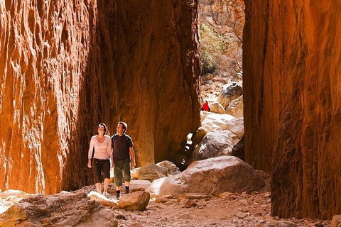 Alice Springs, Uluru Ayers Rock & Kings Canyon 8 Days Touring Package - Accommodation Mount Tamborine 5