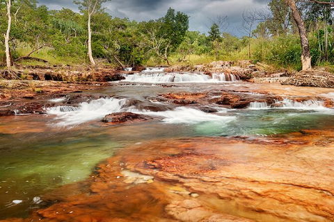 Full-Day Private Guided Tour To Litchfield National Park - Accommodation Mount Tamborine 14
