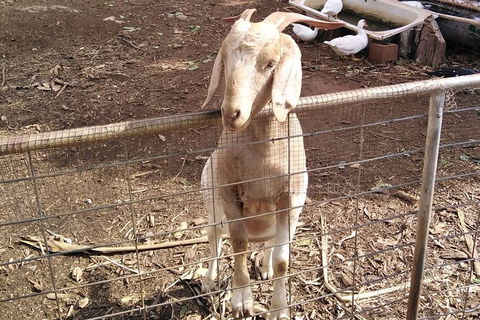 Full-Day Private Guided Tour To Litchfield National Park - Accommodation Mount Tamborine 10