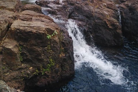 Full-Day Private Guided Tour To Litchfield National Park - Accommodation Mount Tamborine 8
