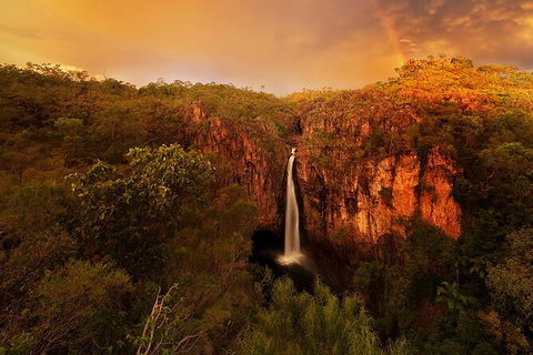 Full-Day Private Guided Tour To Litchfield National Park - Accommodation Mount Tamborine 20
