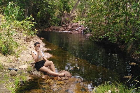 Full-Day Private Guided Tour To Litchfield National Park - Accommodation Mount Tamborine 11