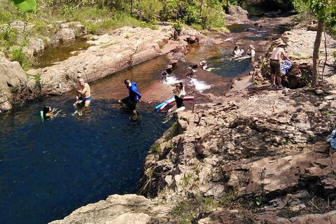 Full-Day Private Guided Tour To Litchfield National Park - Accommodation Mount Tamborine 12