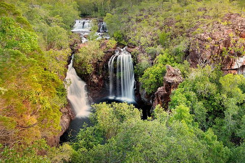 Full-Day Private Guided Tour To Litchfield National Park - Accommodation Mount Tamborine 0