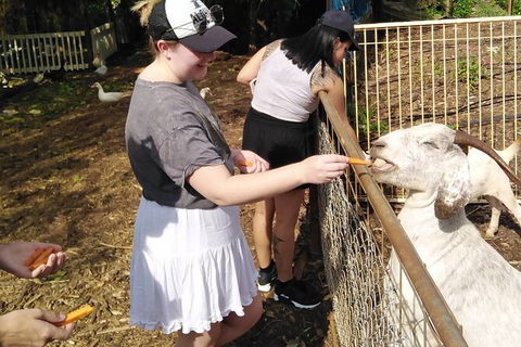 Full-Day Private Guided Tour To Litchfield National Park - Accommodation Mount Tamborine 4