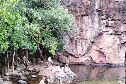 Full-Day Private Guided Tour To Litchfield National Park - Accommodation Mount Tamborine 16