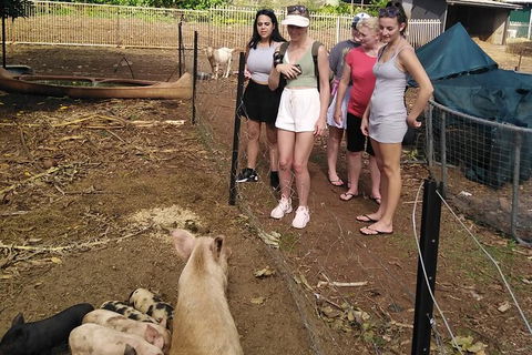 Full-Day Private Guided Tour To Litchfield National Park - Accommodation Mount Tamborine 13