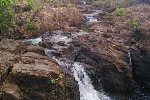 Full-Day Private Guided Tour To Litchfield National Park - Accommodation Mount Tamborine 15