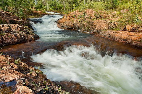Full-Day Private Guided Tour To Litchfield National Park - Accommodation Mount Tamborine 3