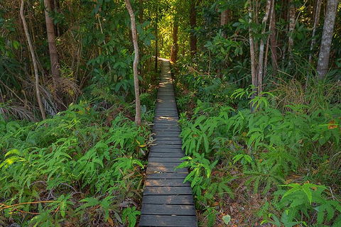 Full-Day Private Guided Tour To Litchfield National Park - Accommodation Mount Tamborine 7