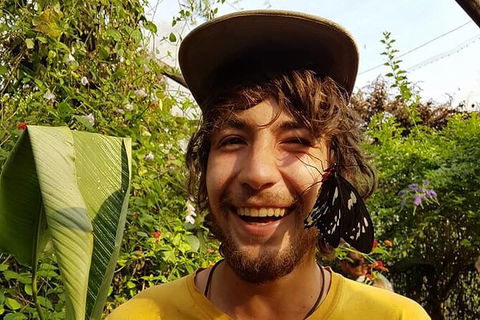 Full-Day Private Guided Tour To Litchfield National Park - Accommodation Mount Tamborine 6