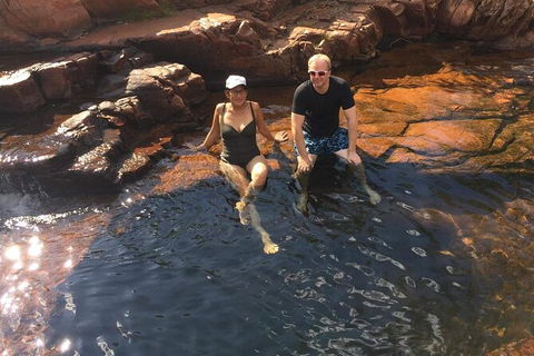 Full-Day Private Guided Tour To Litchfield National Park - Accommodation Mount Tamborine 22