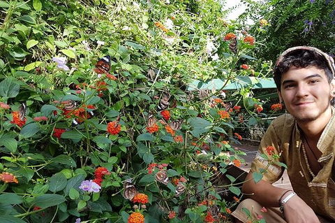 Full-Day Private Guided Tour To Litchfield National Park - Accommodation Mount Tamborine 17