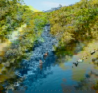 Cruise 'n' Canoe to Australia's Everglades - Accommodation Mount Tamborine