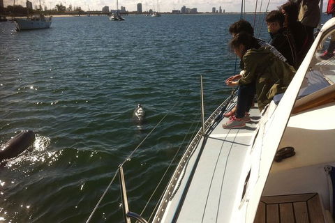 Gold Coast Sailing Cruise With Sparkling Wine & Nibbles Platter - Accommodation Mount Tamborine 3