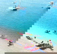2.5hr Gold Coast Kayaking  snorkelling tour - Accommodation Mount Tamborine
