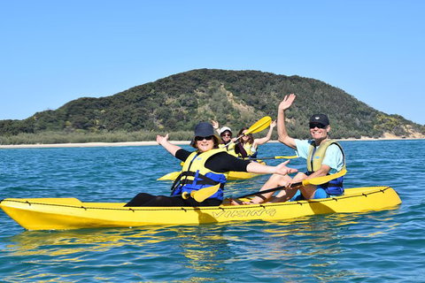 Kayak With Dolphins And 4WD Great Beach Drive Day Trip From Noosa - Accommodation Mount Tamborine 6