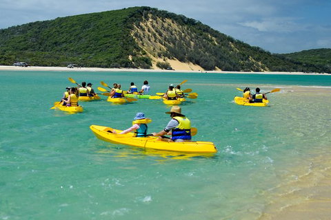 Kayak With Dolphins And 4WD Great Beach Drive Day Trip From Noosa - Accommodation Mount Tamborine 8