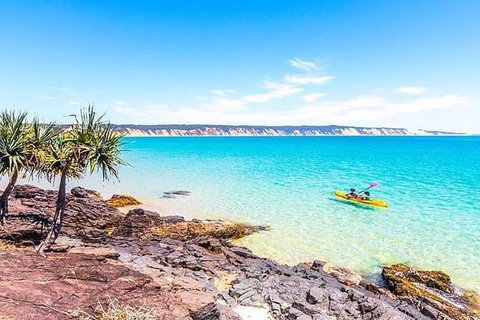 Kayak With Dolphins And 4WD Great Beach Drive Day Trip From Noosa - Accommodation Mount Tamborine 3