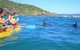 Kayak With Dolphins And 4WD Great Beach Drive Day Trip From Noosa - thumb 5