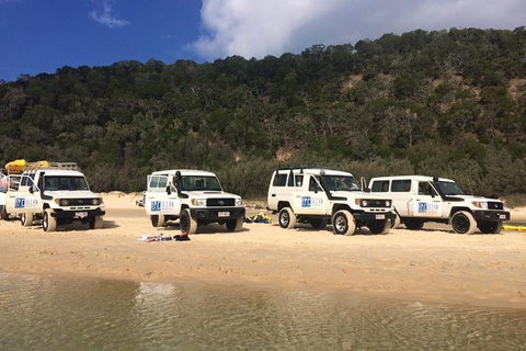 Kayak With Dolphins And 4WD Great Beach Drive Day Trip From Noosa - Accommodation Mount Tamborine 9