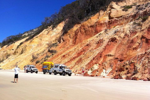 Kayak With Dolphins And 4WD Great Beach Drive Day Trip From Noosa - Accommodation Mount Tamborine 12