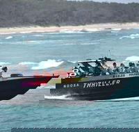 Noosa Thriller - 500hp Ocean Adventure Ride - Accommodation Mount Tamborine