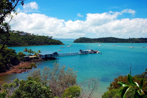 Shared Departure Transfer: Airlie Beach To Proserpine Airport - Accommodation Mount Tamborine 1