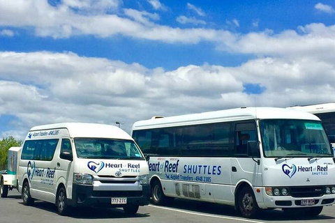 Shared Departure Transfer: Airlie Beach To Proserpine Airport - Accommodation Mount Tamborine 0