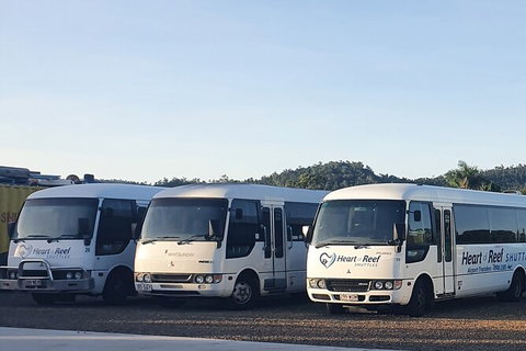 Shared Departure Transfer: Airlie Beach To Proserpine Airport - Accommodation Mount Tamborine 3
