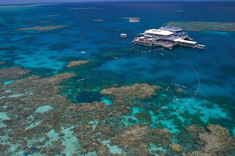 Ultimate 3-Day Great Barrier Reef Cruise Pass - Accommodation Mount Tamborine 2
