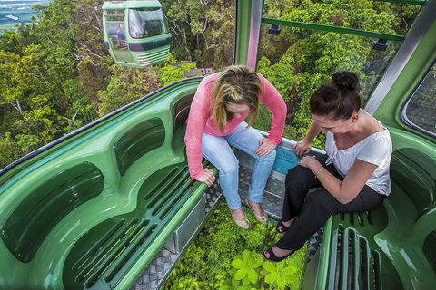 8-Day Cairns Tour: Great Barrier Reef, Kuranda, Daintree Rainforest - Accommodation Mount Tamborine 1