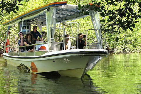8-Day Cairns Tour: Great Barrier Reef, Kuranda, Daintree Rainforest - Accommodation Mount Tamborine 3